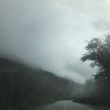 On the way into Haines on a foggy day