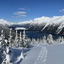 Bluebird day