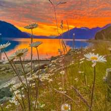 Looking up the Chilkat River from Letnikof Cove on the evening of July 4