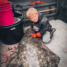 Filling the freezer