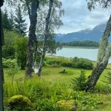 Views everywhere