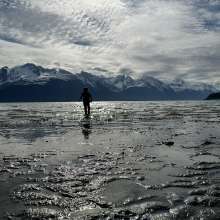 Low tide walks