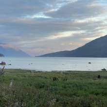Bearly Sunset Lutak Inlet