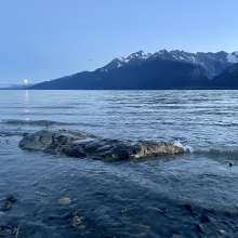 Moonrise Chilkat River