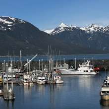 The Harbor