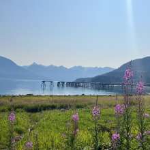 Calm morning in beautiful Haines