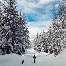 Winter fun