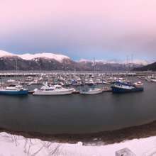 Haines boat harbor in winter