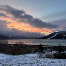 Colors in the winter