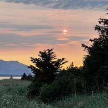 Mud Bay Sunset