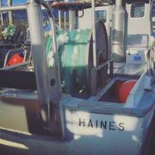 Gillnet vessel in Haines harbor