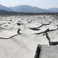 Tsirku Scales. mud flats