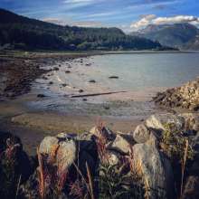 low tide Haines Alaska