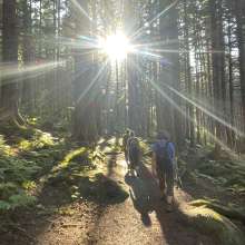 Sunshine Hike