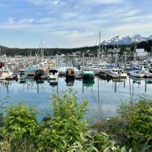 The boat harbour in Haines
