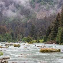 Chilkoot River