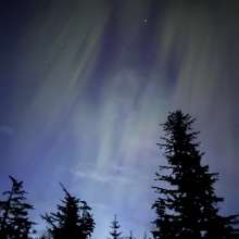 Lights and stars