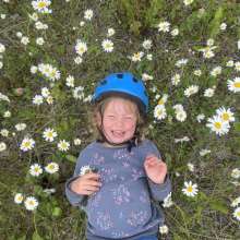 Wildflowers