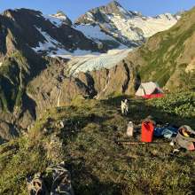 Adventure pup in training, camping on the ridgeline