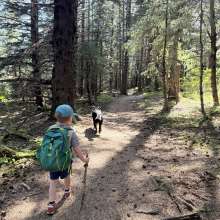 Young boy hiking with dog