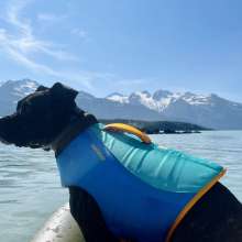 Dog friendly rafting