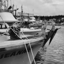 Boat Harbor