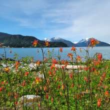 On the way to Battery Point