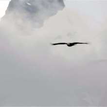 Flying high