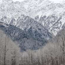 Haines Highway, approximately mile 24 heading south