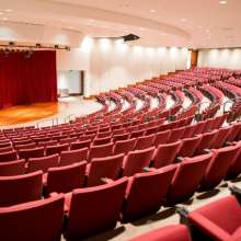 Liliu Theater 310