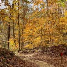 Fall Trail/ Park