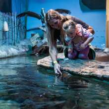 Catawba Science Center - Sting Ray - Kids