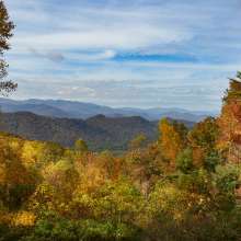 Fall Colors