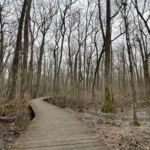 Beaverdam Boardwalk