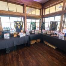 Indiana Sports Corp Charity Golf Tournament - Silent Auction