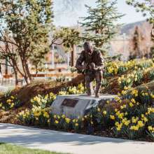 Daffodils in the Shakespeare Garden at the Beverley Center for the Arts