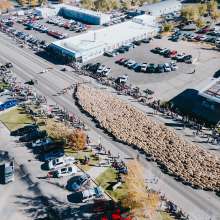 Cedar City Livestock + Heritage Festival - October