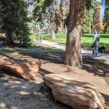 Southern Utah University Campus Walk