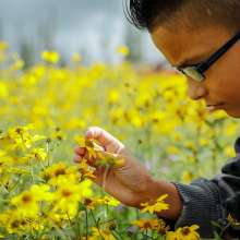 Wildflower Festival | Cedar Breaks National Monument