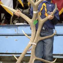 Elk Fest