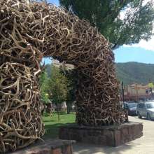 Antler Arch in Summer