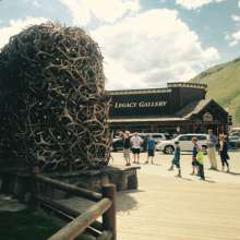 Antler Arches