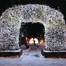 Antler Arches in Winter