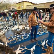 Elk Fest