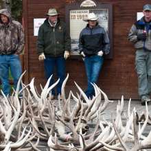 Elk Fest