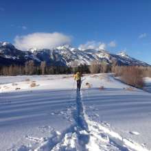 Jackson Hole Nordic Skiing