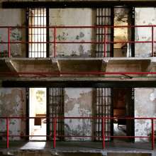 a-hall-cells