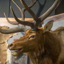 Wyandotte County Historical Society & Museum