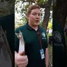 Facebook Live at the Kansas City Renaissance Festival