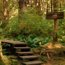 Naha Trailhead, north of Ketchikan